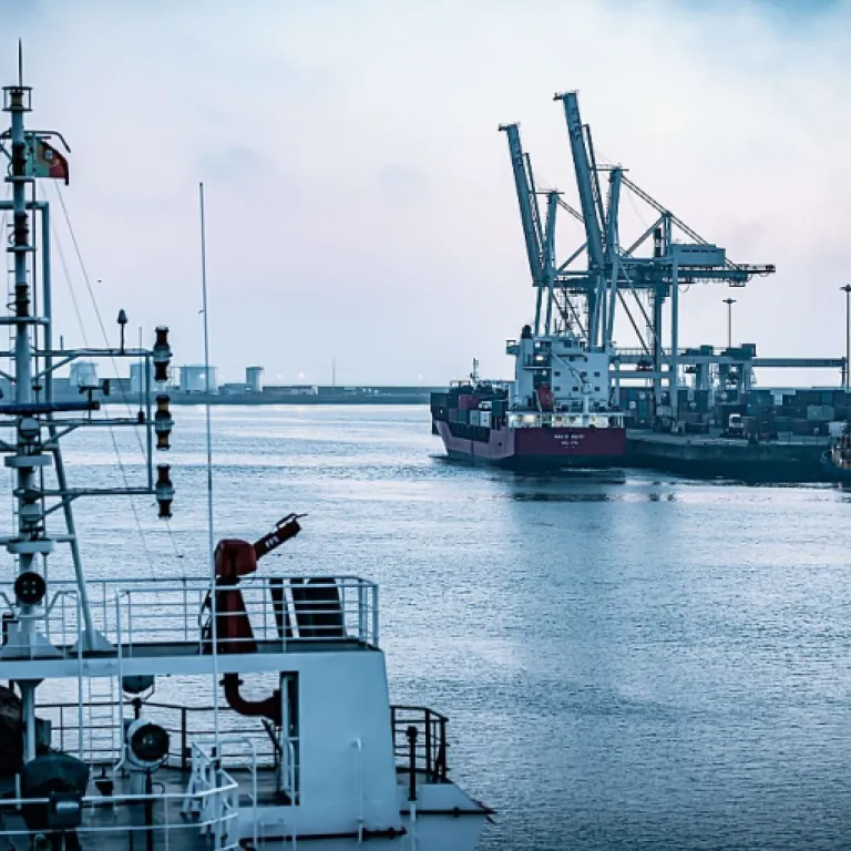 Tout savoir sur la palette taille standard dans le transport de marchandises